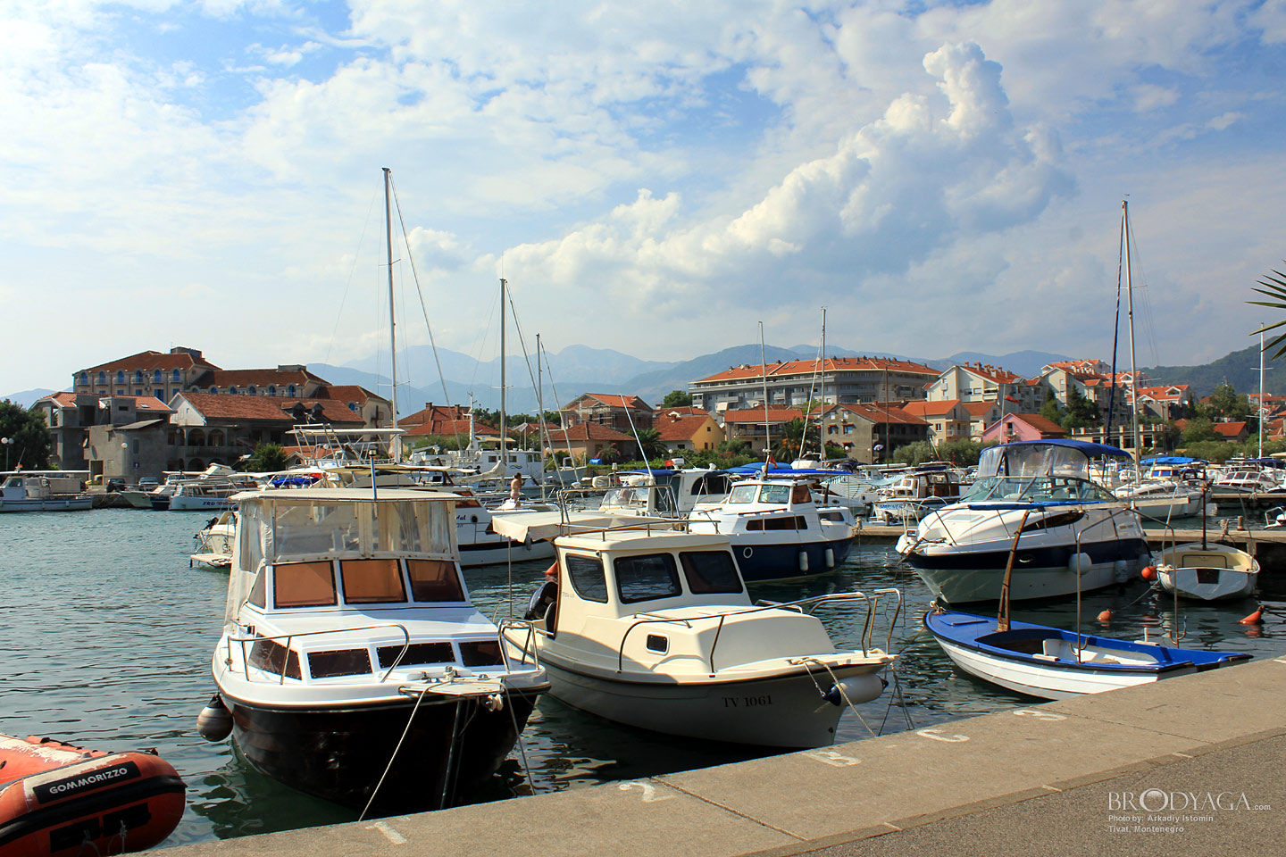 Tivat